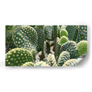 El detalle de un cactus - Salvador Gallardo | Cuadro decorativo de Canvas Lab