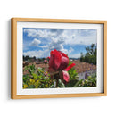 Rosa en los tejados - Salvador Gallardo | Cuadro decorativo de Canvas Lab