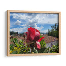 Rosa en los tejados - Salvador Gallardo | Cuadro decorativo de Canvas Lab