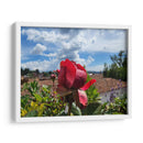 Rosa en los tejados - Salvador Gallardo | Cuadro decorativo de Canvas Lab