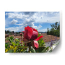 Rosa en los tejados - Salvador Gallardo | Cuadro decorativo de Canvas Lab