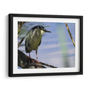 La mirada de la garza - Isabel Soria | Cuadro decorativo de Canvas Lab