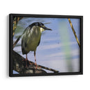 La mirada de la garza - Isabel Soria | Cuadro decorativo de Canvas Lab