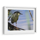 La mirada de la garza - Isabel Soria | Cuadro decorativo de Canvas Lab