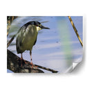 La mirada de la garza - Isabel Soria | Cuadro decorativo de Canvas Lab