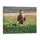 La persistencia  - Isabel Soria | Cuadro decorativo de Canvas Lab