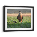 La persistencia  - Isabel Soria | Cuadro decorativo de Canvas Lab