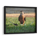 La persistencia  - Isabel Soria | Cuadro decorativo de Canvas Lab