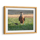 La persistencia  - Isabel Soria | Cuadro decorativo de Canvas Lab