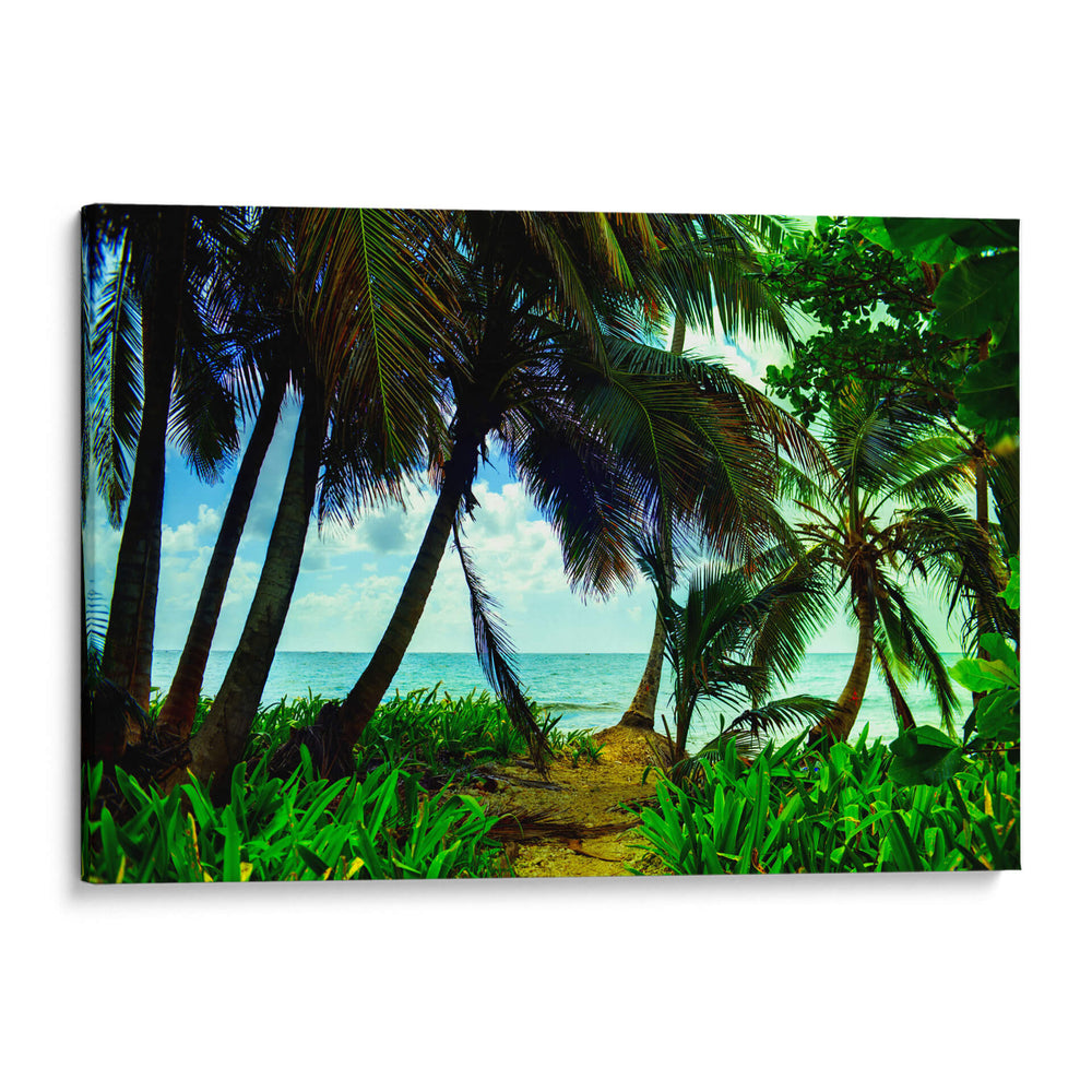 Palmeras Caribeñas de Jhonny Cay - Dreamer Studio | Cuadro decorativo de Canvas Lab