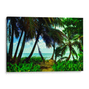 Palmeras Caribeñas de Jhonny Cay - Dreamer Studio | Cuadro decorativo de Canvas Lab