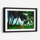 Palmeras Caribeñas de Jhonny Cay - Dreamer Studio | Cuadro decorativo de Canvas Lab