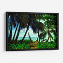 Palmeras Caribeñas de Jhonny Cay - Dreamer Studio | Cuadro decorativo de Canvas Lab