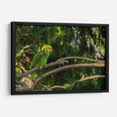 Loro - Alvaro Martinz | Cuadro decorativo de Canvas Lab