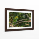 Loro - Alvaro Martinz | Cuadro decorativo de Canvas Lab