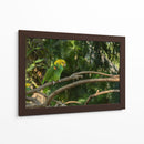 Loro - Alvaro Martinz | Cuadro decorativo de Canvas Lab