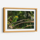 Loro - Alvaro Martinz | Cuadro decorativo de Canvas Lab