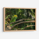 Loro - Alvaro Martinz | Cuadro decorativo de Canvas Lab