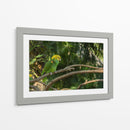 Loro - Alvaro Martinz | Cuadro decorativo de Canvas Lab