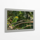 Loro - Alvaro Martinz | Cuadro decorativo de Canvas Lab