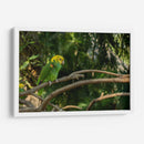 Loro - Alvaro Martinz | Cuadro decorativo de Canvas Lab