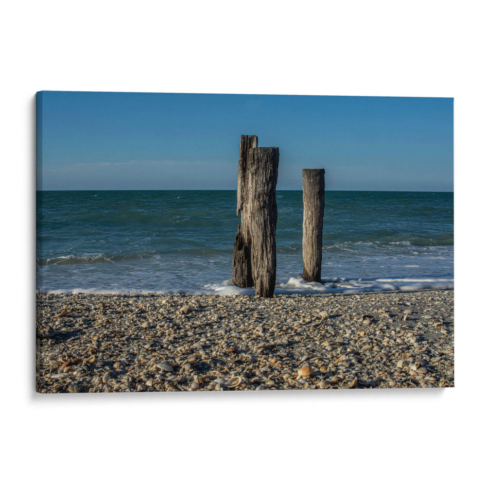guardianes del mar - Alvaro Martinz | Cuadro decorativo de Canvas Lab