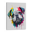 BULLDOG SPLASH - Infiniity Art | Cuadro decorativo de Canvas Lab