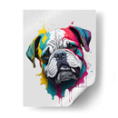 BULLDOG SPLASH - Infiniity Art | Cuadro decorativo de Canvas Lab