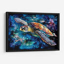 TORTUGA ACUARELA - Dav Madrid | Cuadro decorativo de Canvas Lab