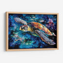 TORTUGA ACUARELA - Dav Madrid | Cuadro decorativo de Canvas Lab