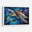 TORTUGA ACUARELA - Dav Madrid | Cuadro decorativo de Canvas Lab