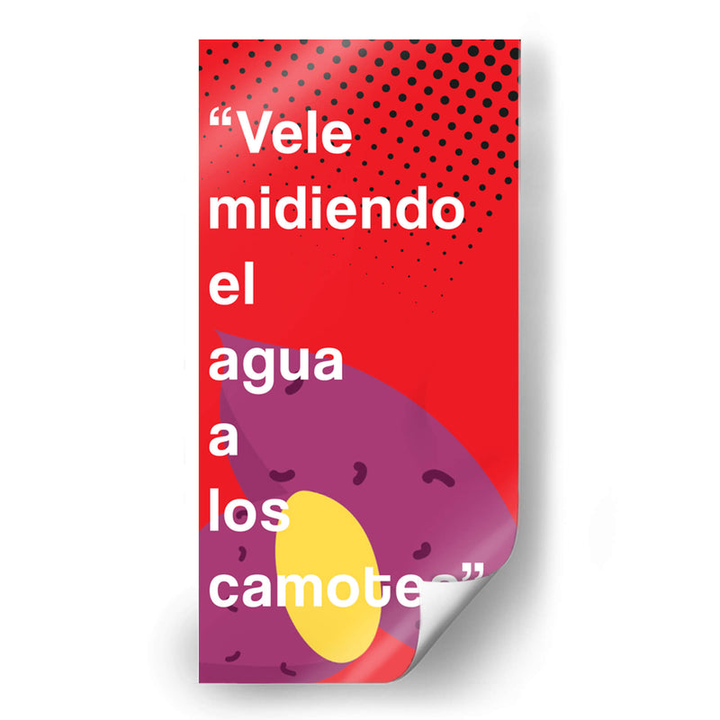 Vele midiendo 004 - Jorge Méndez | Cuadro decorativo de Canvas Lab