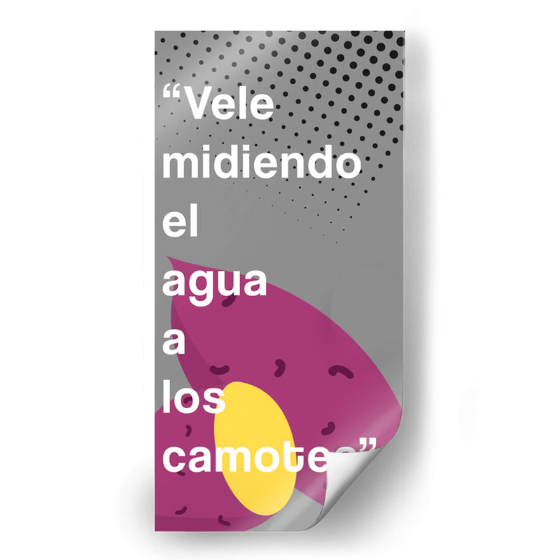 Vele midiendo 002 - Jorge Méndez | Cuadro decorativo de Canvas Lab