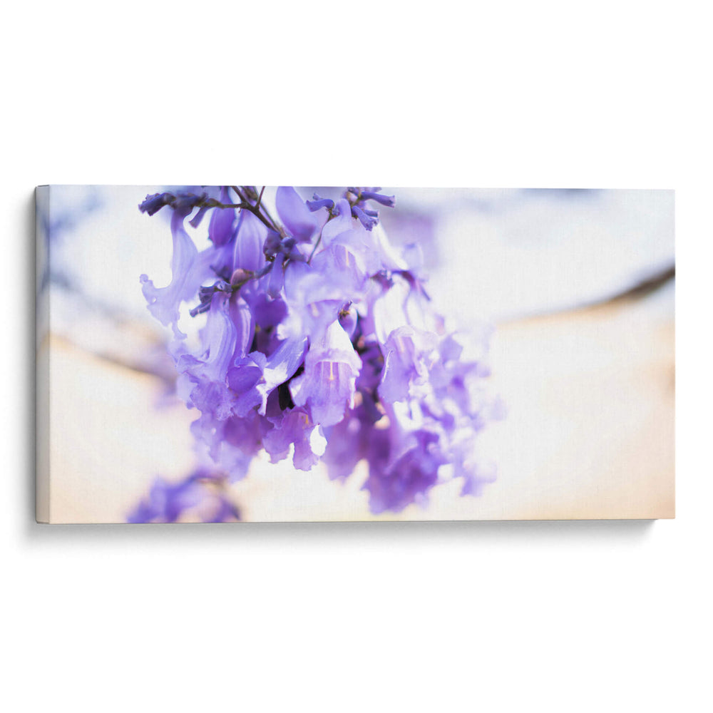 JACARANDA  PRIMERA - Zuriel Halal | Cuadro decorativo de Canvas Lab