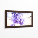 JACARANDA  PRIMERA - Zuriel Halal | Cuadro decorativo de Canvas Lab