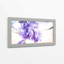 JACARANDA  PRIMERA - Zuriel Halal | Cuadro decorativo de Canvas Lab