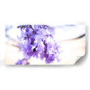 JACARANDA  PRIMERA - Zuriel Halal | Cuadro decorativo de Canvas Lab