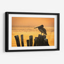 Pelícano en hora dorada - Ulises Páez | Cuadro decorativo de Canvas Lab