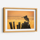 Pelícano en hora dorada - Ulises Páez | Cuadro decorativo de Canvas Lab