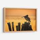 Pelícano en hora dorada - Ulises Páez | Cuadro decorativo de Canvas Lab