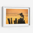 Pelícano en hora dorada - Ulises Páez | Cuadro decorativo de Canvas Lab