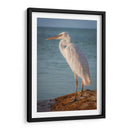 Paco en reflexión - Ulises Páez | Cuadro decorativo de Canvas Lab