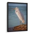 Paco en reflexión - Ulises Páez | Cuadro decorativo de Canvas Lab