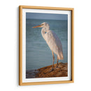 Paco en reflexión - Ulises Páez | Cuadro decorativo de Canvas Lab