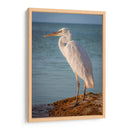 Paco en reflexión - Ulises Páez | Cuadro decorativo de Canvas Lab