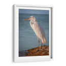 Paco en reflexión - Ulises Páez | Cuadro decorativo de Canvas Lab