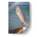 Paco en reflexión - Ulises Páez | Cuadro decorativo de Canvas Lab