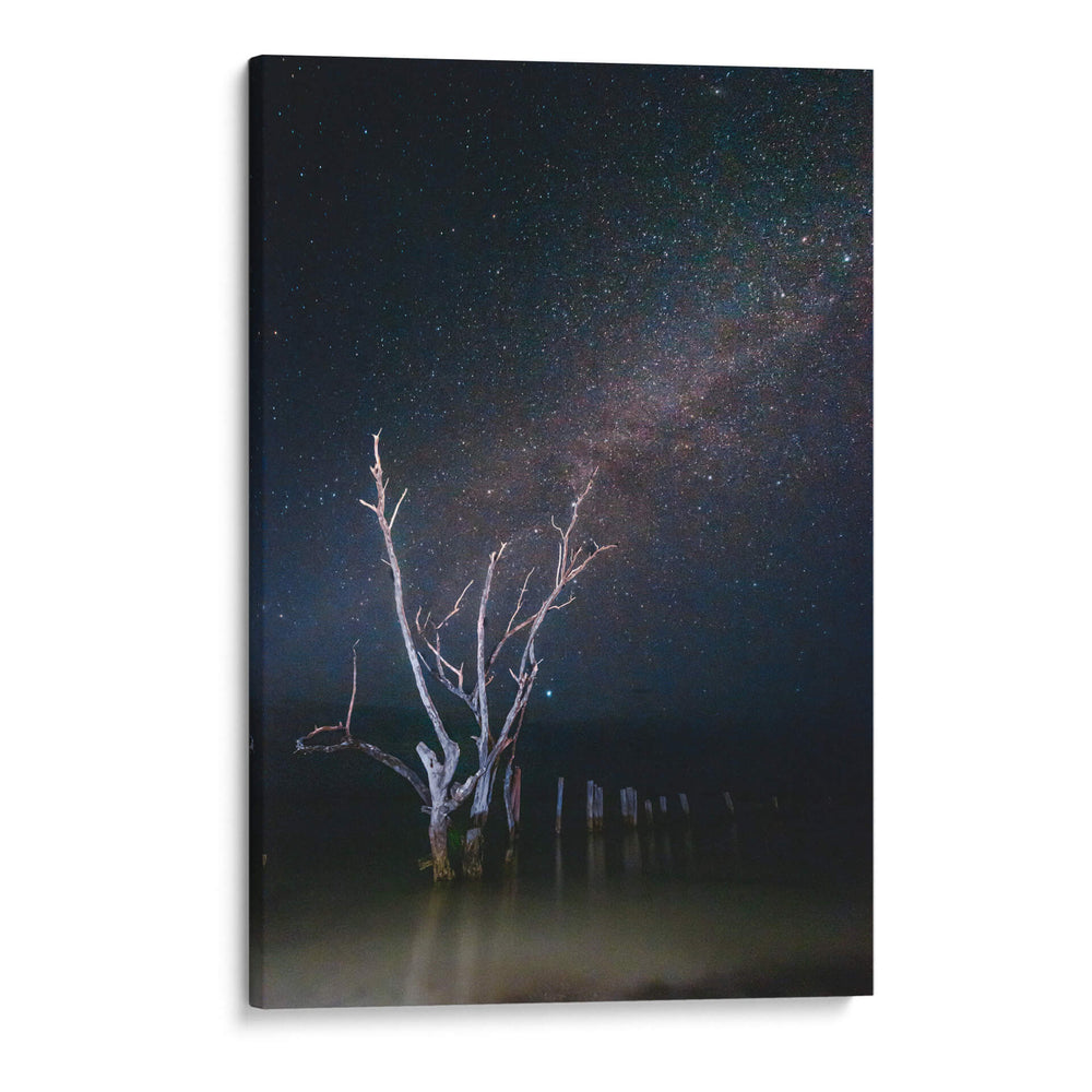 Noche estrellada en Holbox - Ulises Páez | Cuadro decorativo de Canvas Lab