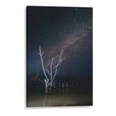 Noche estrellada en Holbox - Ulises Páez | Cuadro decorativo de Canvas Lab