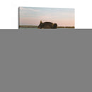 Mapache Lisa Escolleras - ruda | Cuadro decorativo de Canvas Lab